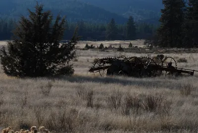 DSC_0044 (Large).JPG